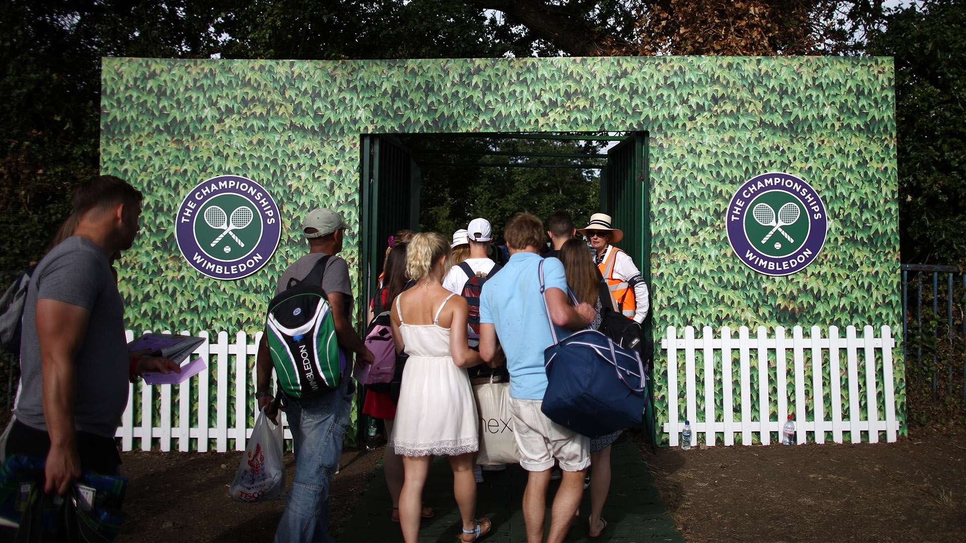 球迷心理树 球迷心理树