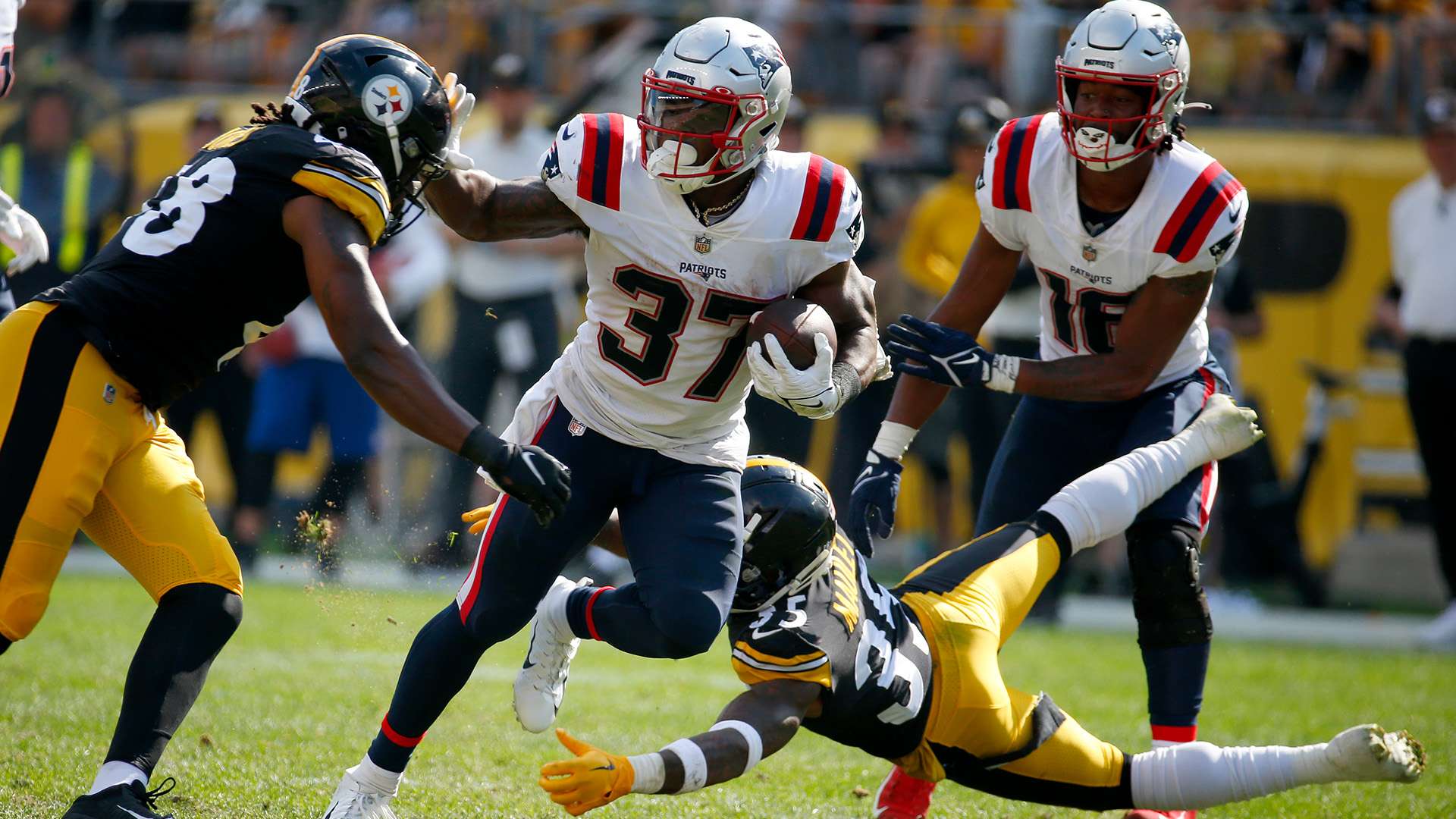 部和支持者 部和支持者